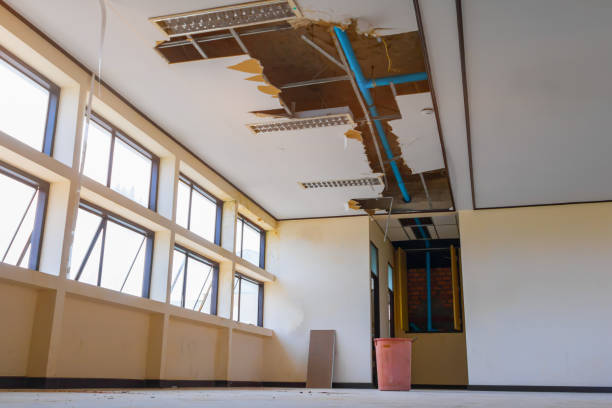 Best Flooded house restoration  in Redondo Beach, CA