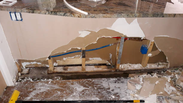 Best Water damage contractors near me  in Redondo Beach, CA