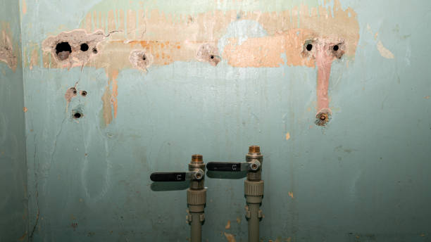 Best Carpet water damage restoration  in Redondo Beach, CA